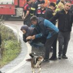 dereye devrilen otomobildeki evli cift boguldu komsulari agir yarali a0989dc2e81d