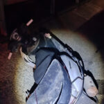 devrilen motosikletten dusup yaralanan berkay yasam mucadelesini kaybetti ca7607d5a126