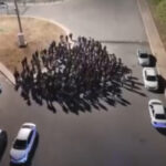 diyarbakir merkezli 3 ilde organize suc orgutune operasyon 25 tutuklama 31707e2a876e