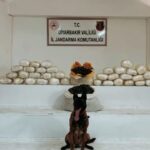 diyarbakirda uyusturucu operasyonu 25 gozalti e0488fba2f0c