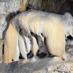 Bozyazı'daki Çaltı Mağarası'nın Turizme Kazandırılması İçin Düzenlemeler Bekleniyor 5 doga harikasi calti magarasinin turizme kazandirilmasi istegi eec59cc145bb