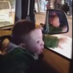 down sendromlu bekir asafin dogum gununu suruculer kornalarla kutladi 270dc6ccb125