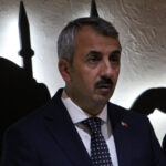 edirnede celtik saplarindan yakit uretilecek 9bd9993cfce4