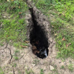 egirdirde meyve bahcelerinde obruk ve yariklar evlerin duvarlarinda catlaklar olustu 5771c25ae018