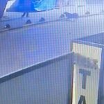 emekli astsubay sokak kopegini tabancayla vurdu o anlar guvenlik kamerasinda 7899f0ab87fb