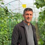 Samandağ Biberi Hasadı İçin Çiftçiler Hazırlık Yapıyor 7 en aci biberin hasat zamani 5ad14fe5ea90