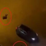 esra ve arkadasini olduren saniga agirlastirilmis muebbet cezasi b57f5cad9350