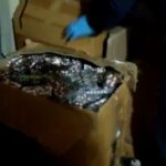 evinde 49 bin sentetik hap ele gecirilen supheli gozaltinda ac1b23e569f8