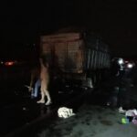 Gaziantep'te Otomobilin Kamyona Çarpması Sonucu Üç Aile Üyesinin Hayatını Kaybetmesi 5 gaziantepte otomobil kamyona carpti 3 olu e40443620ae6