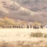 gurcistanda dusen askeri kargo ucagindaki 18 sehidin naasina ulasildi 88ca03d31e8f