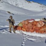 hakkari ve agrida yuklu miktarda uyusturucu ele gecirildi 1 gozalti c8fc0a186469