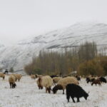 hakkaride kar yagisi 2 49b90608d9a4