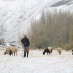 hakkaride kar yagisi 2 c8c3f086b779