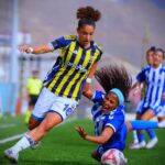hakkarigucu spor fenerbahce arsavev 0 2 8d69f9b8cc4c