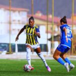 hakkarigucu spor fenerbahce arsavev 0 2 aef03642dea9