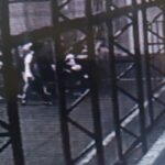 hali sahada kalp krizi gecirip oldu 2 8377d712e282