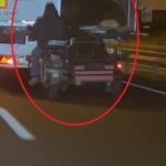 Diyarbakır'da TIR'dan 3 koyun çalan hırsızlık anı kamerada! 1 hareket halindeki tirdan koyun hirsizligi kamerada 92dd2bb5ac65