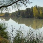 Diyarbakır'da Kaybolan Polis Memuru İçin Arama Çalışmaları Başlatıldı 2 hastaneden ayrildiktan sonra haber alinamayan polis memuru icin arama calismasi baslatildi 24ccb0acafa7
