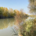 Diyarbakır'da Kaybolan Polis Memuru İçin Arama Çalışmaları Başlatıldı 3 hastaneden ayrildiktan sonra haber alinamayan polis memuru icin arama calismasi baslatildi cbf2ac9d3e57