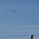 hastaneden ayrilip kaybolan polis memurunu arama calismalari 3ucu gununde 3c5a685054ba