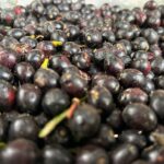 hatayda defne yaginin litresi bin liradan alici buluyor 1e6d0c053072