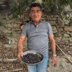 hatayda defne yaginin litresi bin liradan alici buluyor 96c47380426f