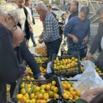 hatayda ureticiler alici cikmayan tonlarca mandalinayi ucretsiz dagitti ae96be74eed2