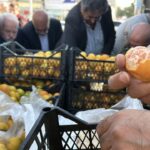 hatayda ureticiler alici cikmayan tonlarca mandalinayi ucretsiz dagitti cf4010b6496a