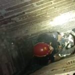 Bursa'da Apartman Havalandırma Boşluğuna Düşen Yavru Kedi, İtfaiye Ekiplerince Kurtarıldı 1 havalandirma bosluguna dusen yavru kediyi itfaiye ekipleri kurtardi 3989d8d17ae2