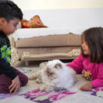 Kadri Övüş, Torunlarıyla Birlikte Evsiz Kalma Tehlikesiyle Karşı Karşıya! 3 hayatini 3 torununa adayan dedeye evden tahliye soku 7fd9bbdd7098