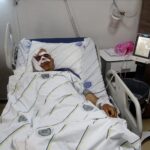 hayvan otlatirken ayi saldirdi yuzunden yaralandi a8639779a49a