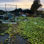 Hollanda'da Hemzemin Geçitte TIR'a Çarpan Tren 5 Yaralıya Sebep Oldu 3 hollandada tren tira carpti 5 yarali 15ec8ac44984