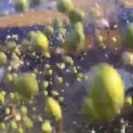 Hollanda'da Hemzemin Geçitte TIR'a Çarpan Tren 5 Yaralıya Sebep Oldu 2 hollandada tren tira carpti 5 yarali c62e69e2baad