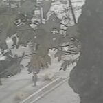 Bakırköy'de Kedileri Besleyen İş İnsanı Saldırıya Uğradı, Şikayetçi Oldu! 4 istanbul bakirkoyde sokakta kedi besleyen is insanini yolu kapattigini one surerek darbetti 20ce603c2ecb