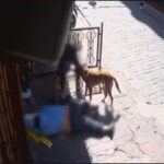 istanbul beyoglunda epilepsi hastasi kisiyi gasbeden 2 supheli tutuklandi c161972889d2