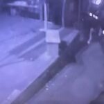 istanbul gaziosmanpasada yan baktin kavgasinda cocuk silahla ates acti dede oldu torun yaralandi f3285f96c2f8