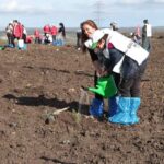 istanbul milli agaclandirma gununde silivride 15 bin fidan dikildi 4659d32b7888