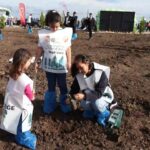 istanbul milli agaclandirma gununde silivride 15 bin fidan dikildi 79dc801c1e28