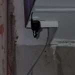 Sultangazi'de İki Kadın, Takip Ettikleri Çiftin Evinden 1 Milyon Lira Değerinde Ziynet Eşyası Çaldı 6 istanbul sultangazide takip ettikleri ciftin evine giren 2 kadin 1 milyon lira degerinde ziynet esyasi caldi 0e5859281127