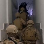 izmir merkezli feto operasyonu 18 gozalti 1af1c202f54e