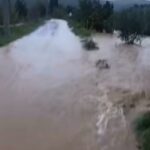 izmirde saganak etkili oldu 3 9d5285146e24