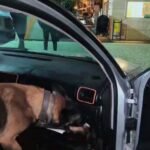 izmirde uyusturucu operasyonu 3 gozalti 7e08f66a48df