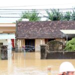 Vietnam'daki Kalmaegi Tayfunu 5 Can Aldı, 6 Kişi Yaralandı 1 kalmaegi tayfunu vietnami vurdu 5 olu 0e332a4a4718