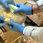 kapikulede tirdan 66 kilo 400 gram uyusturucu hammaddesi ele gecirildi 499522074c43