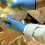 kapikulede tirdan 66 kilo 400 gram uyusturucu hammaddesi ele gecirildi bed11f871d24