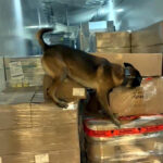 kapikulede tirdan 66 kilo 400 gram uyusturucu hammaddesi ele gecirildi fd62d5c4f9c0