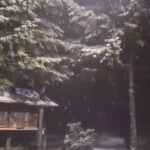 kartepeye mevsimin ilk kari yagdi 5045f50757fd