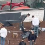 Diyarbakır'da silahlı kavga anına ait cep telefonuyla çekilen görüntüler yayımlandı 5 kasap dukkaninda silahli kavga kamerada 2 olu 2 yarali 2 cc618898e496