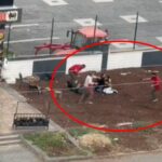 Diyarbakır'da silahlı kavga anına ait cep telefonuyla çekilen görüntüler yayımlandı 1 kasap dukkaninda silahli kavga kamerada 2 olu 2 yarali 2 d35beaf7a131