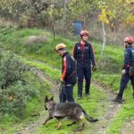 Kastamonu'da Kaybolan Huriye Helvacı ve Oğlu İçin Annesinin Evi Arandı 6 kastamonuda kaybolan kadinin esi habersiz hicbir yere cikmazdi 2 2b95fface229